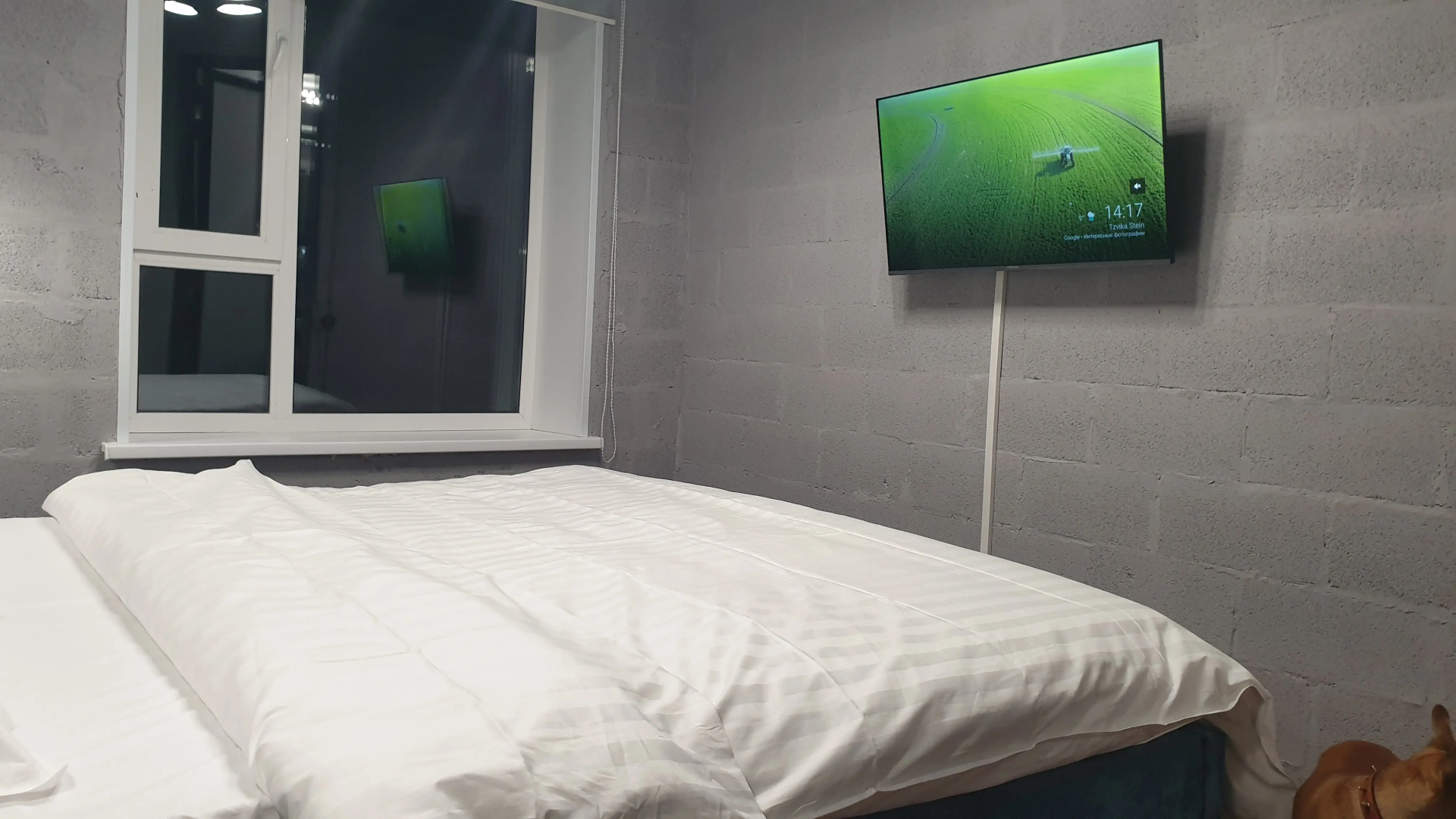 Апартаменты Green Lamp Downtown