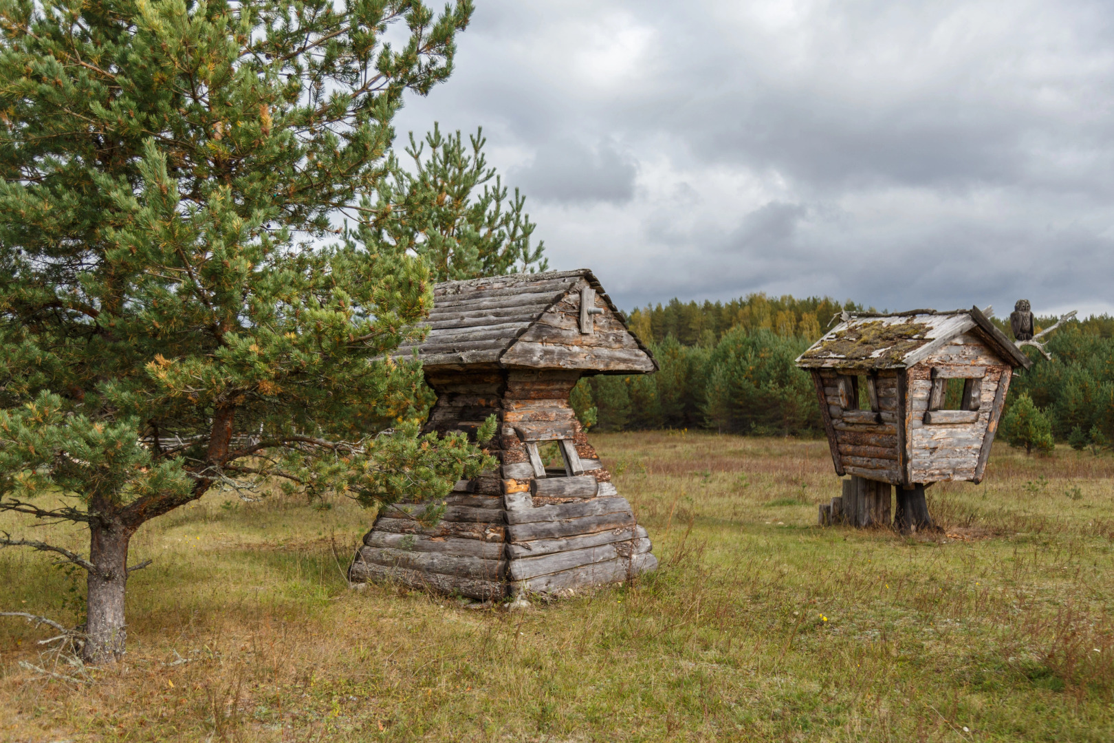 Отель Киногородок