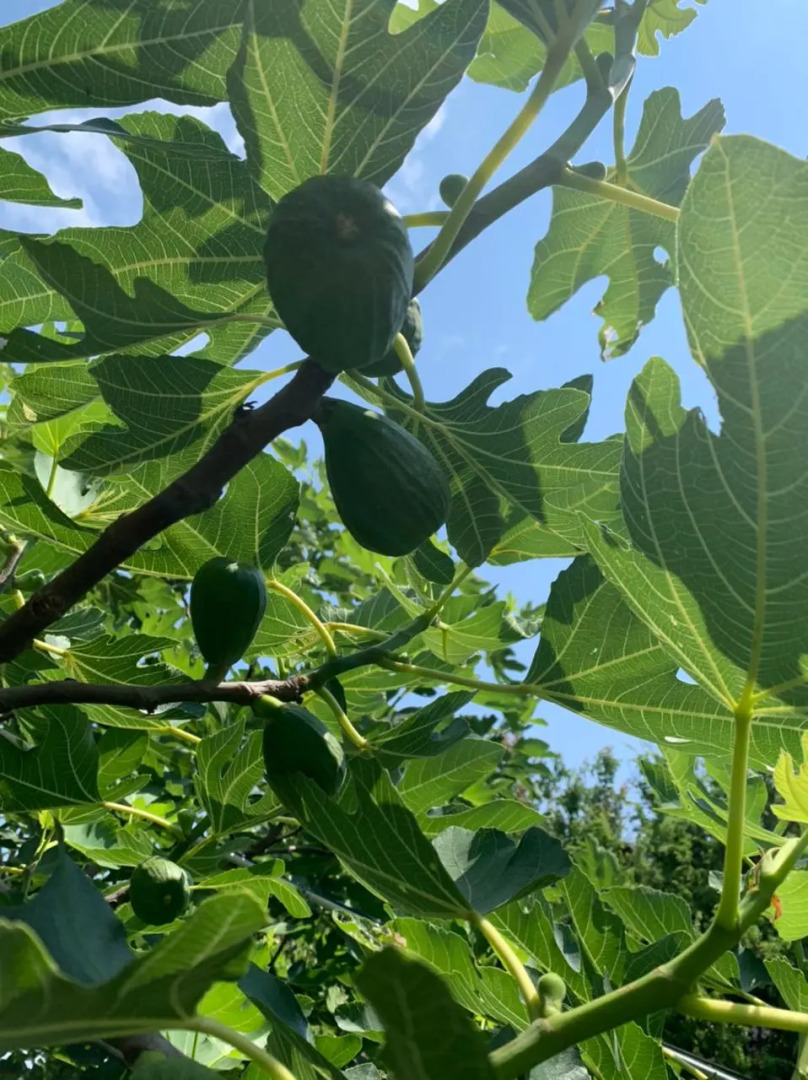 Частный дом на Московской