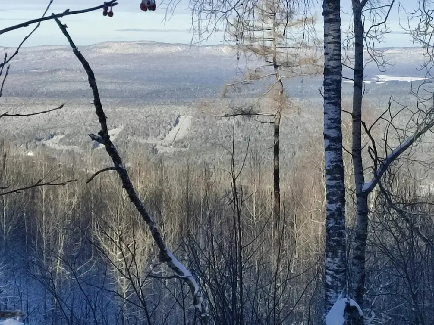 Гостевой дом Лавина