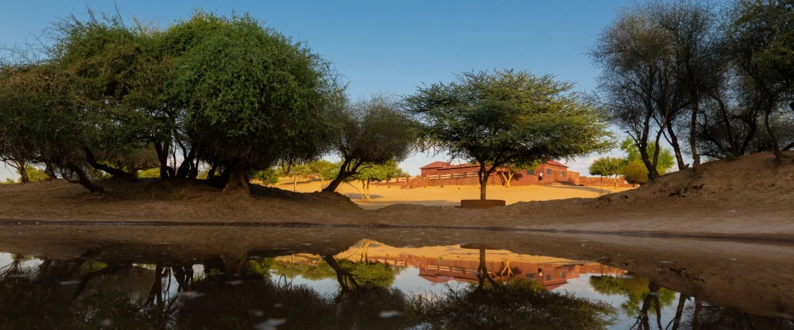 Отель Rohida Luxury Desert Safari Camp Osian