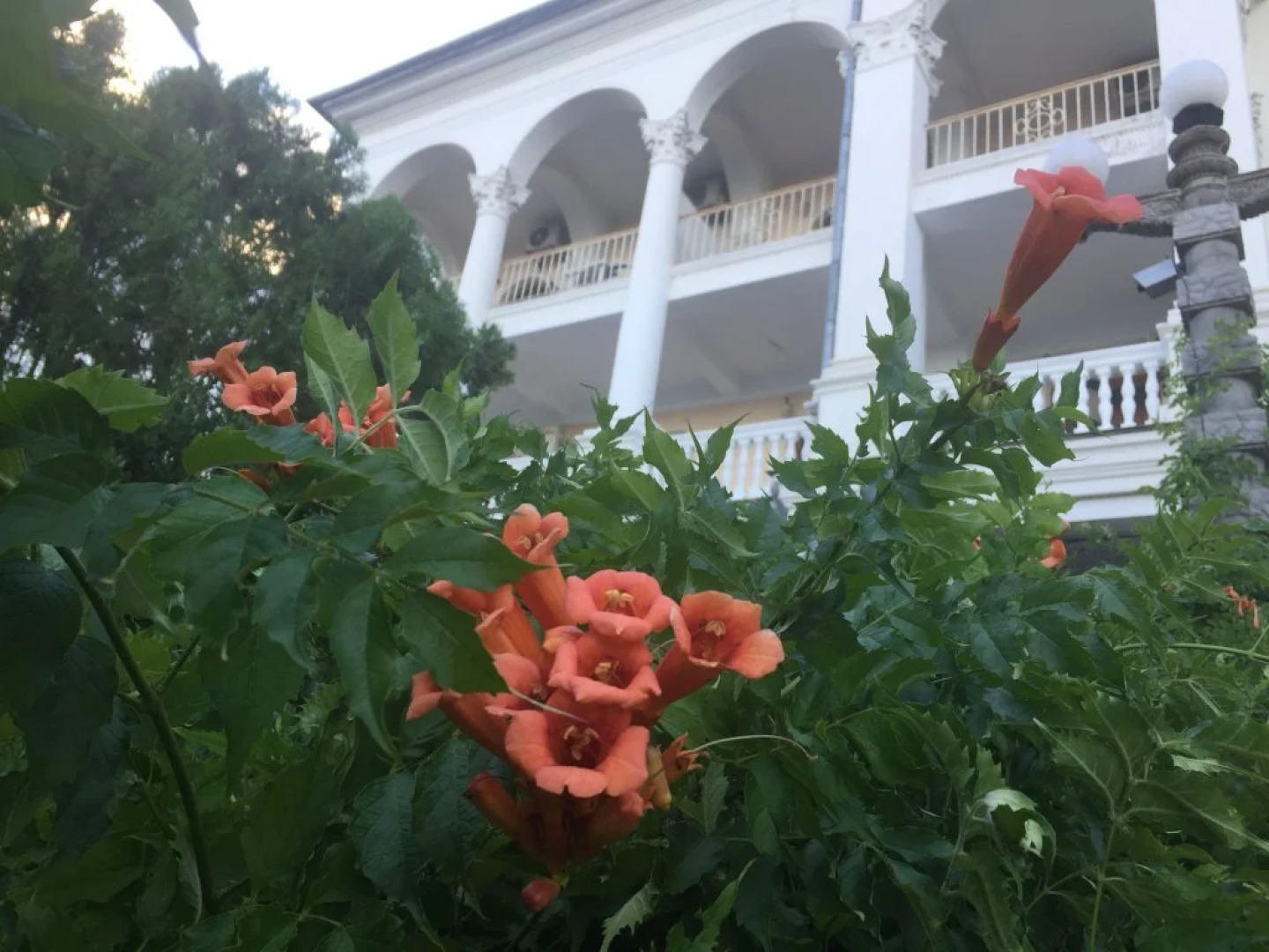 Отель Крым-Дрим