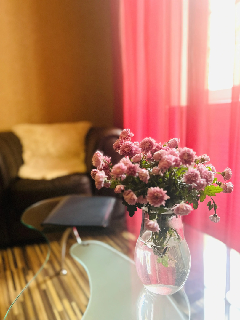 Отель Галерея Сакура