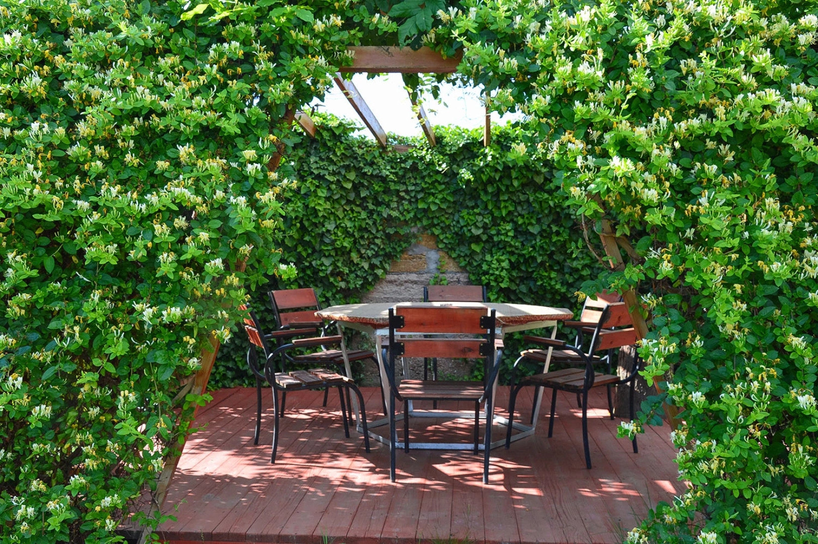 Мини-отель Дионис