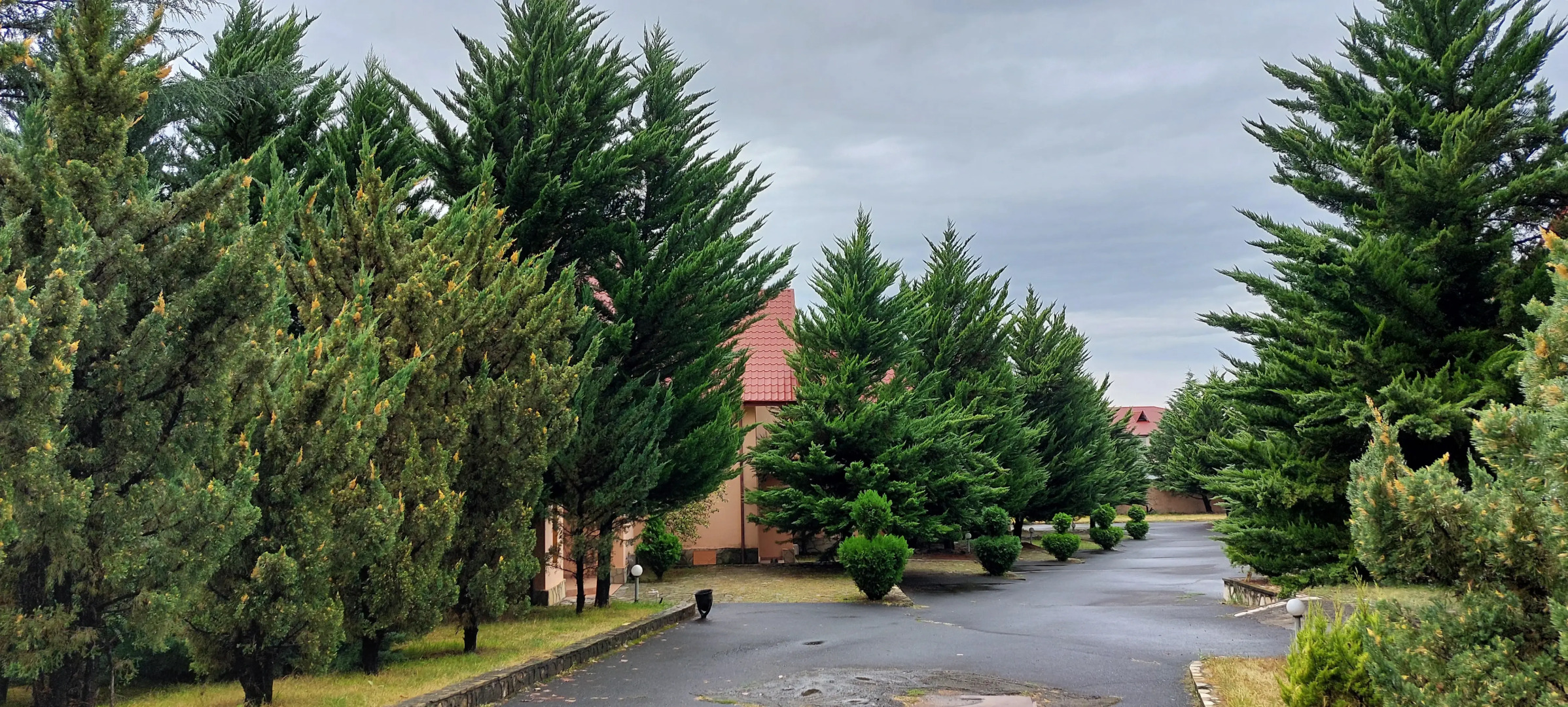 Отель Arena Zagatala