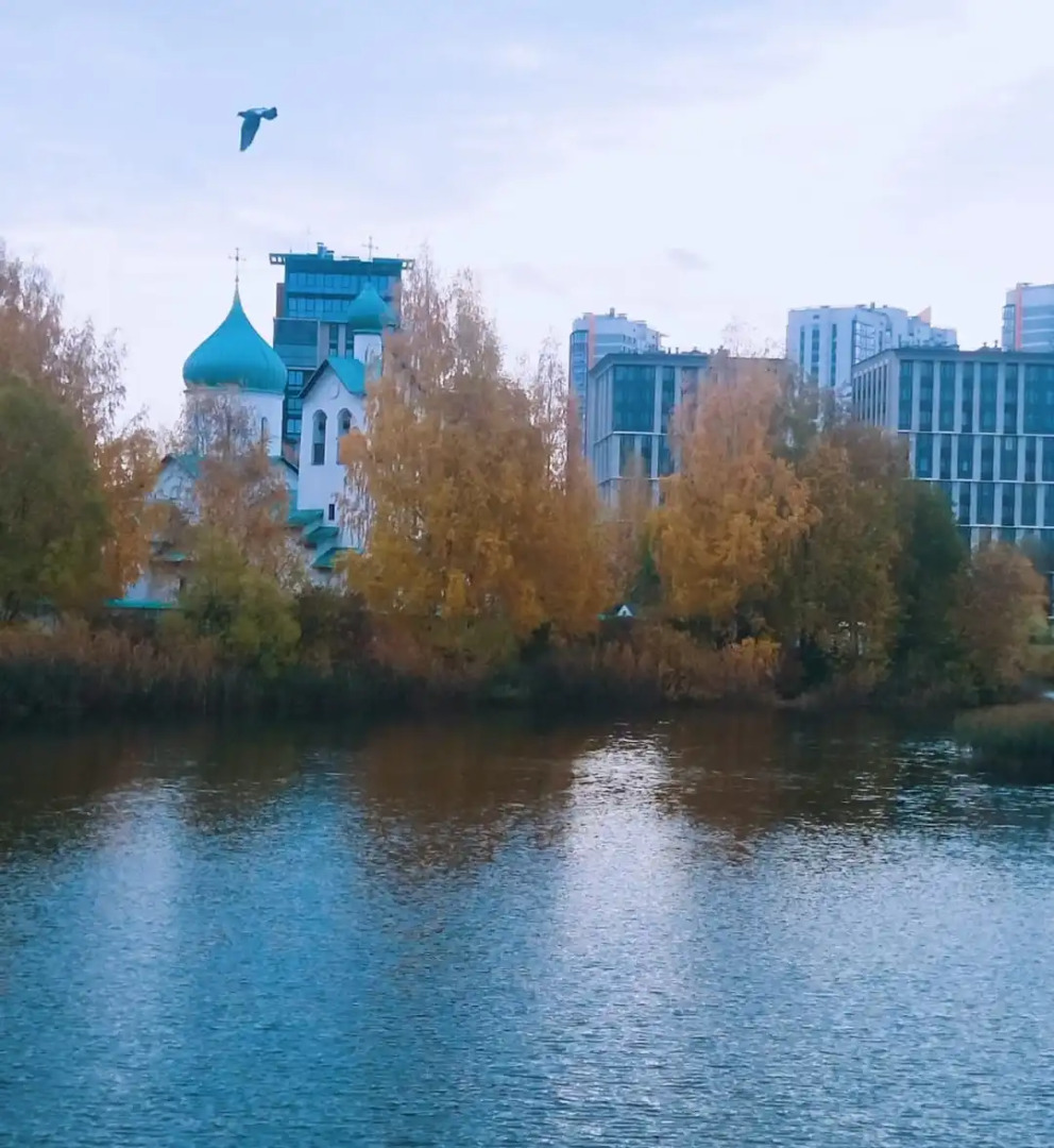 Апартаменты Park Inn Hause