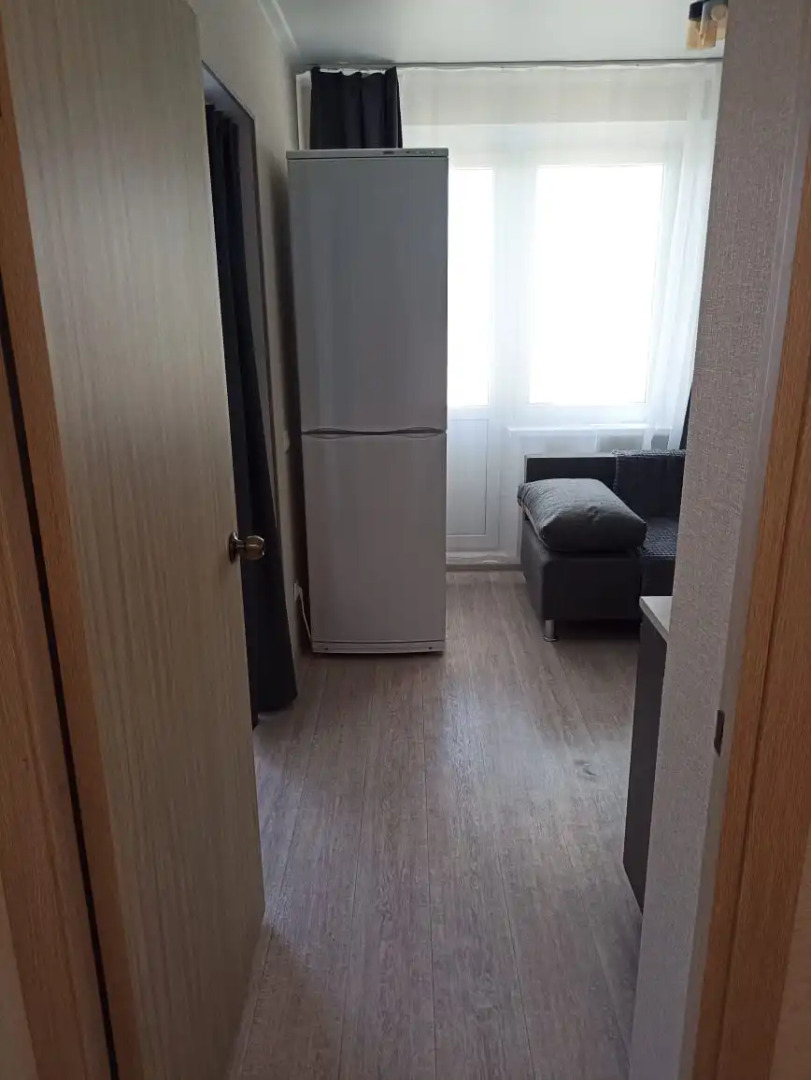 Квартира Новая смарт-студия (462)