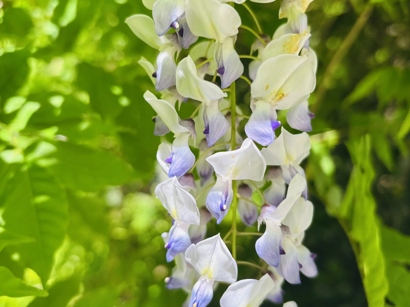 Апартаменты Пальма 3