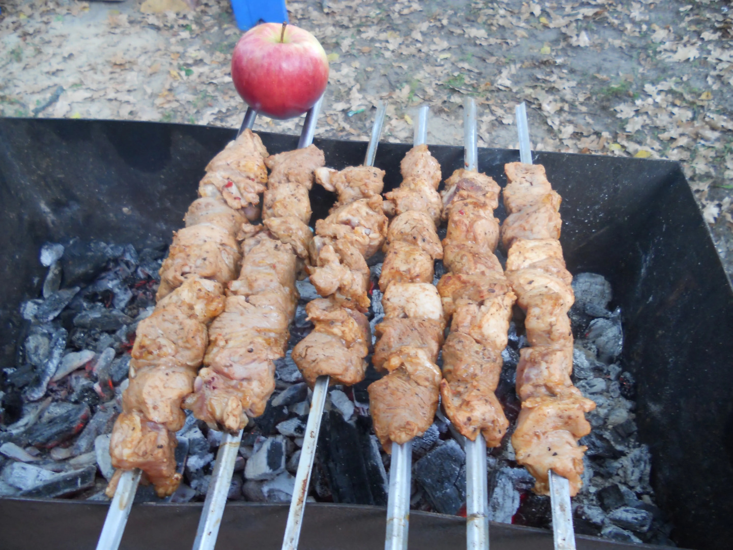 База Отдыха Черкасский Затон