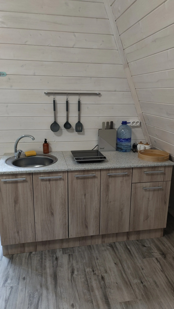 Частный дом Пряня