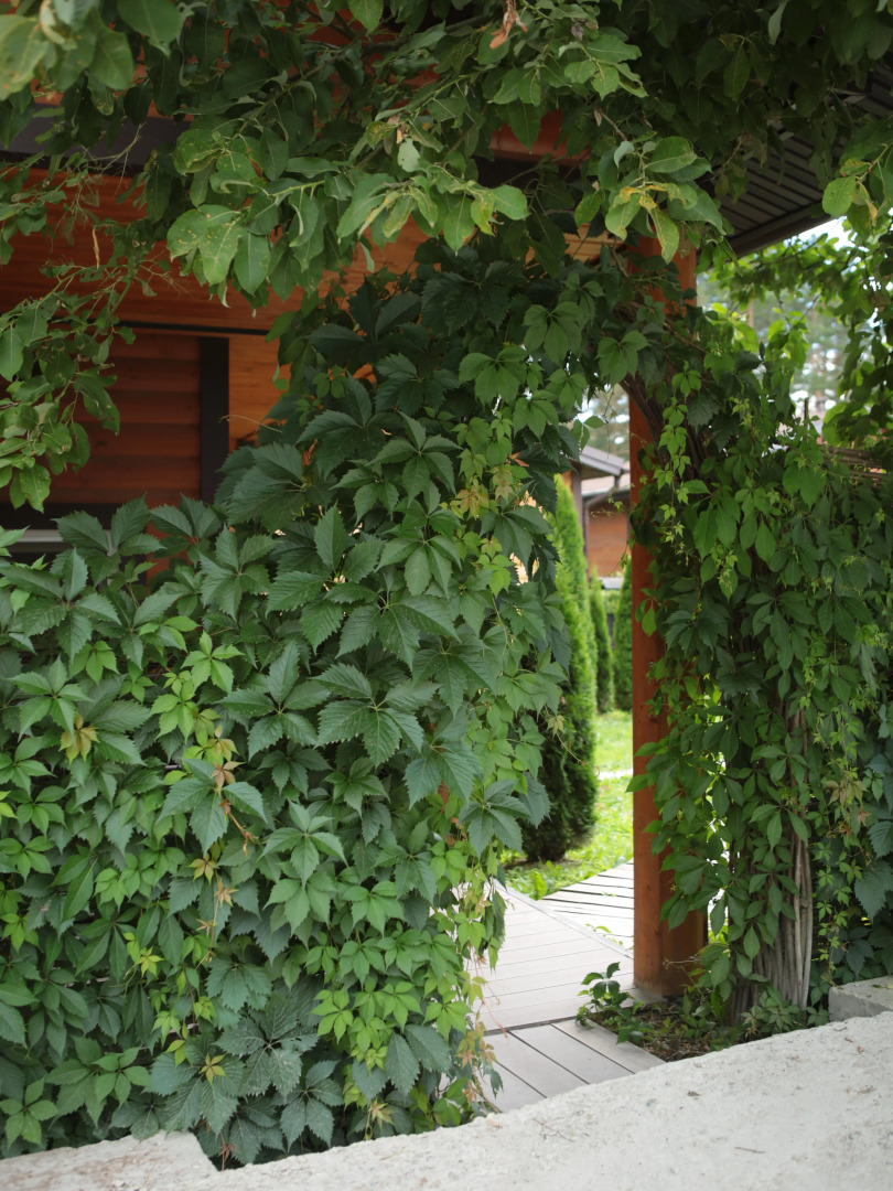 Гостевые дома Три Медведя