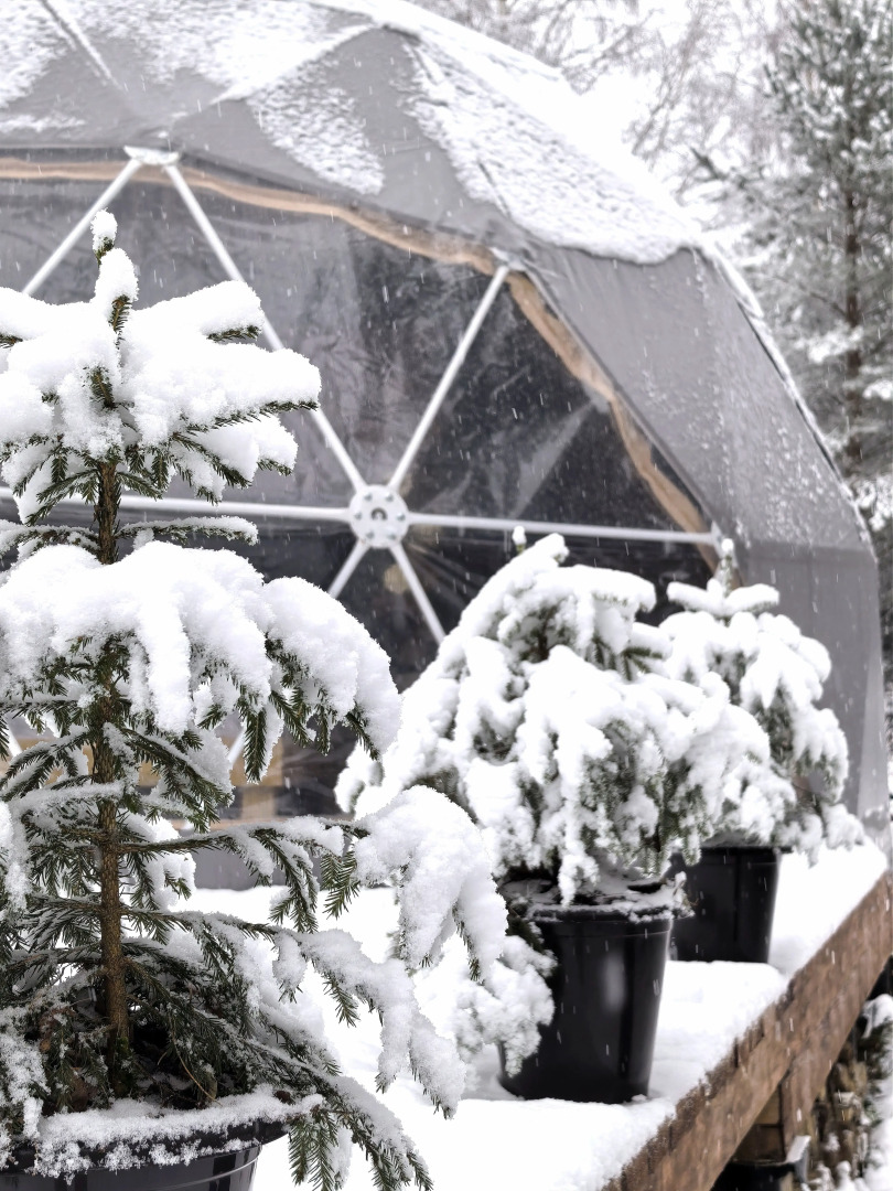 Шале неДача