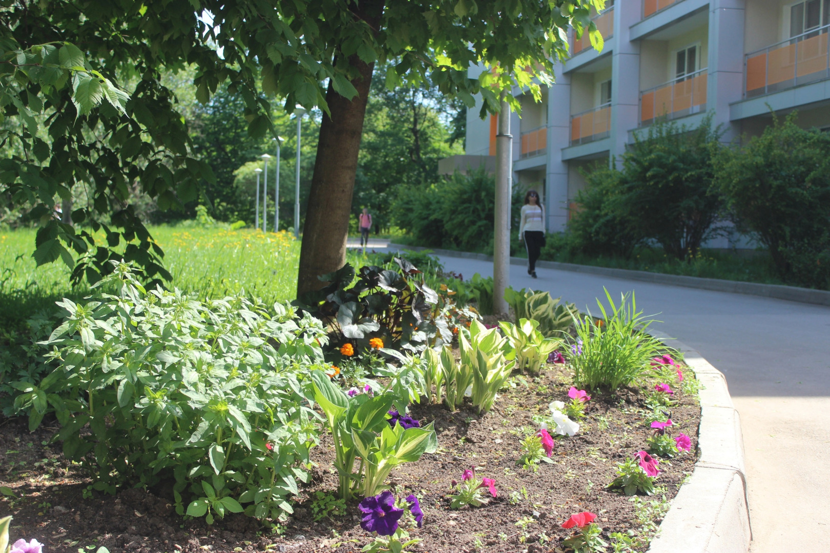 Borovichskij(AO BKO)