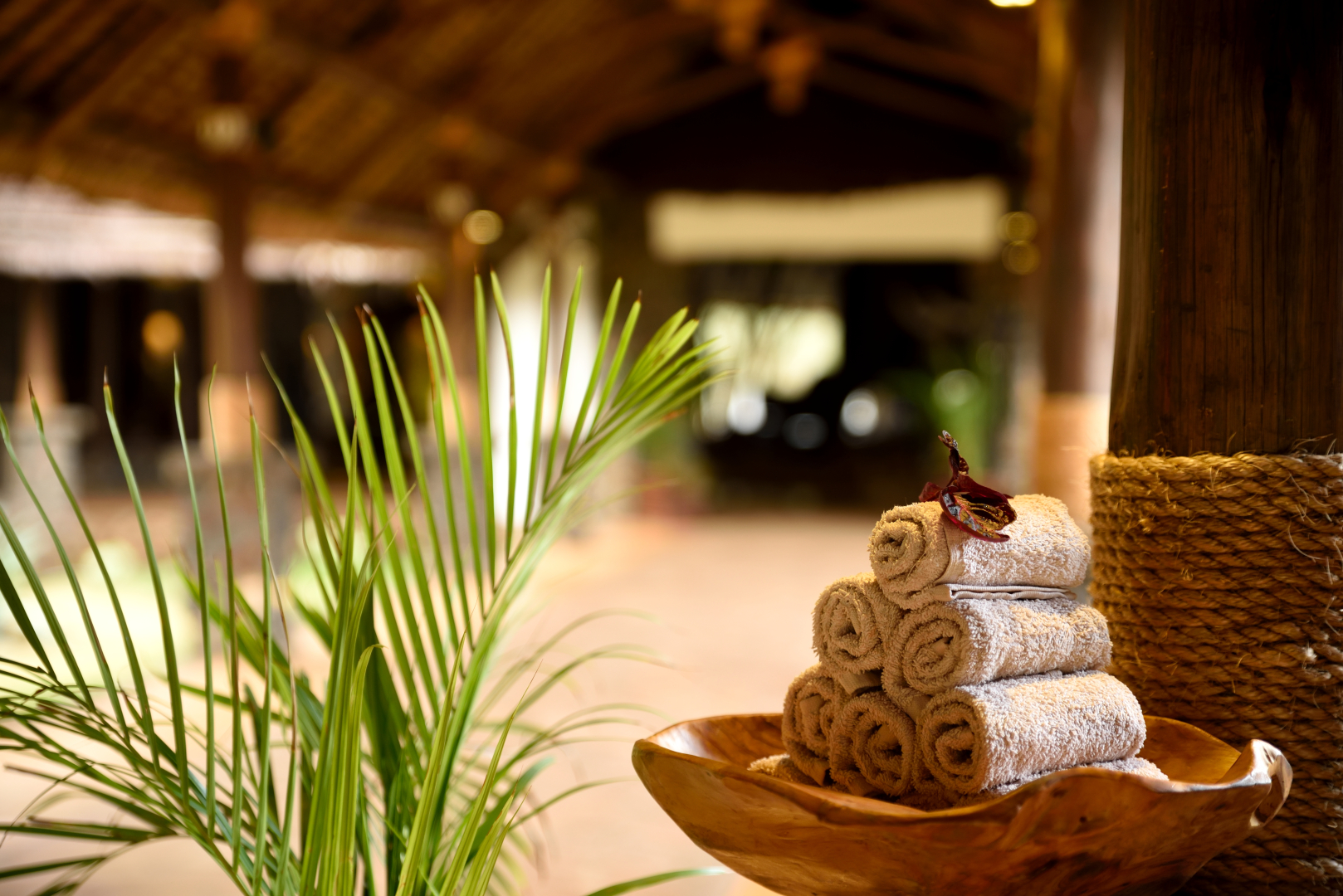 Отель Lake Manyara Kilimamoja Lodge