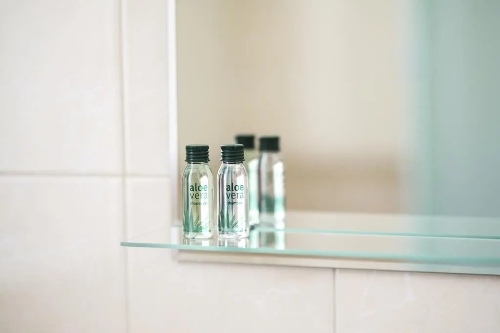 Вега Бизнес