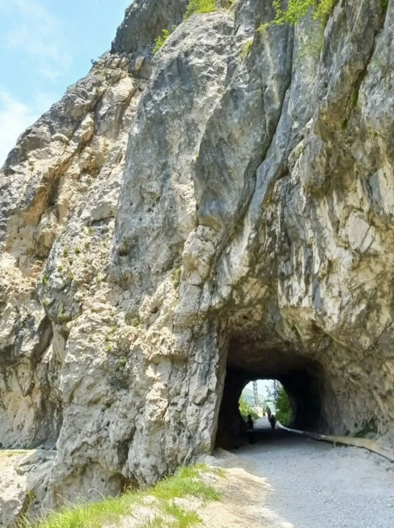Глэмпинг Панорама 360 1