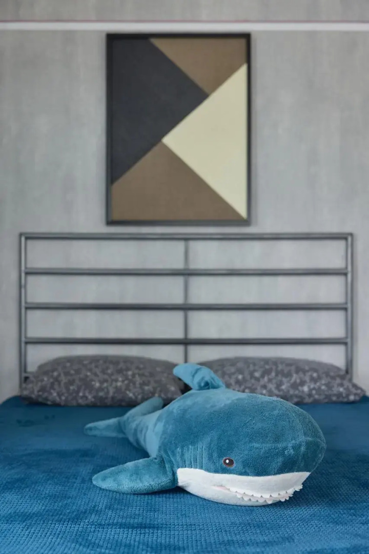 Квартира на Мамина-Сибиряка (1)