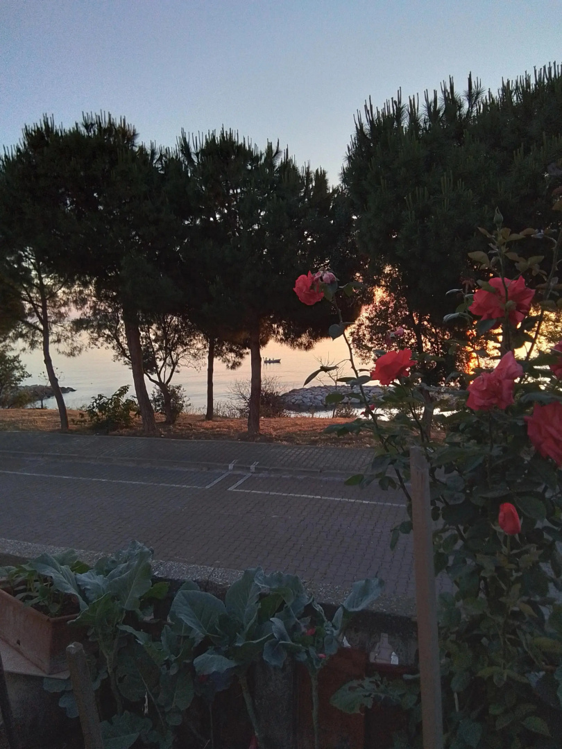 Частный дом Gerze Beyaz Yalı Tatil Evi
