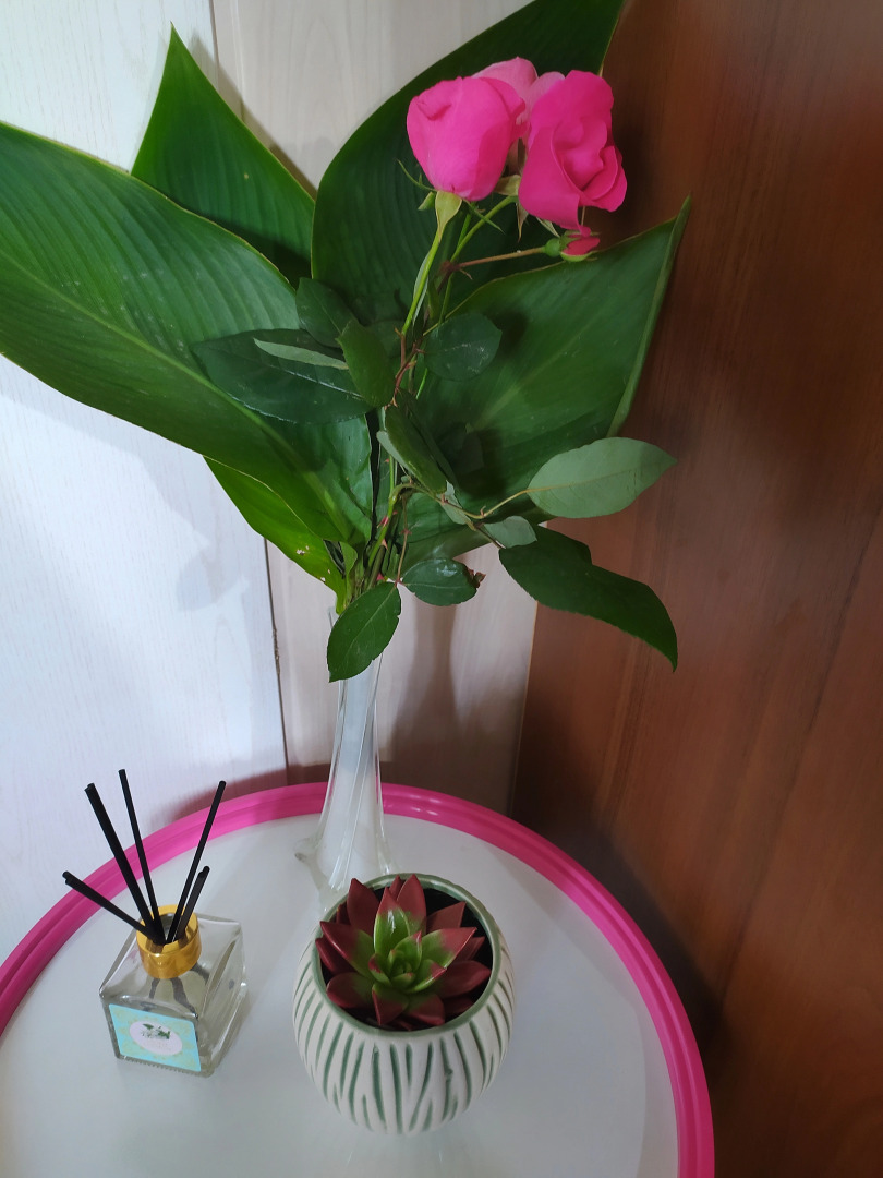 Частный Дом Шанти