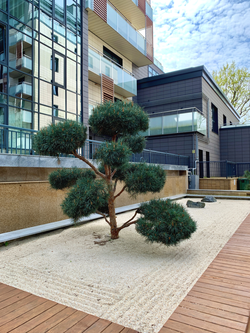 Апартаменты Raushen Prestige 8