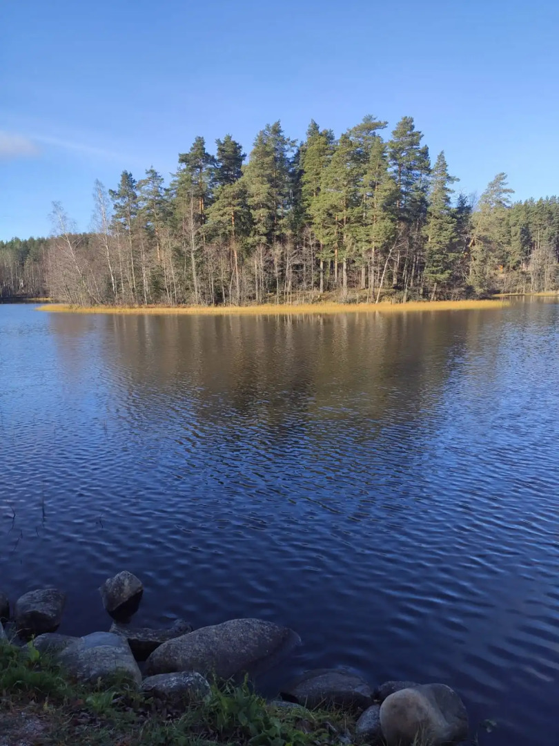 Частный дом DavinciApart