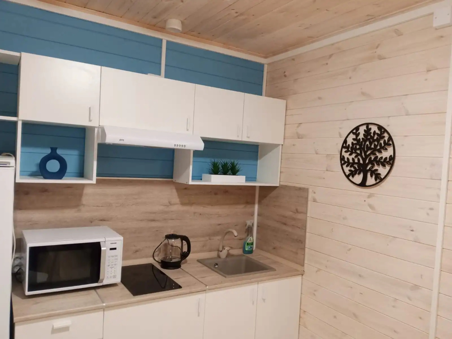 Частный дом в Малые соли