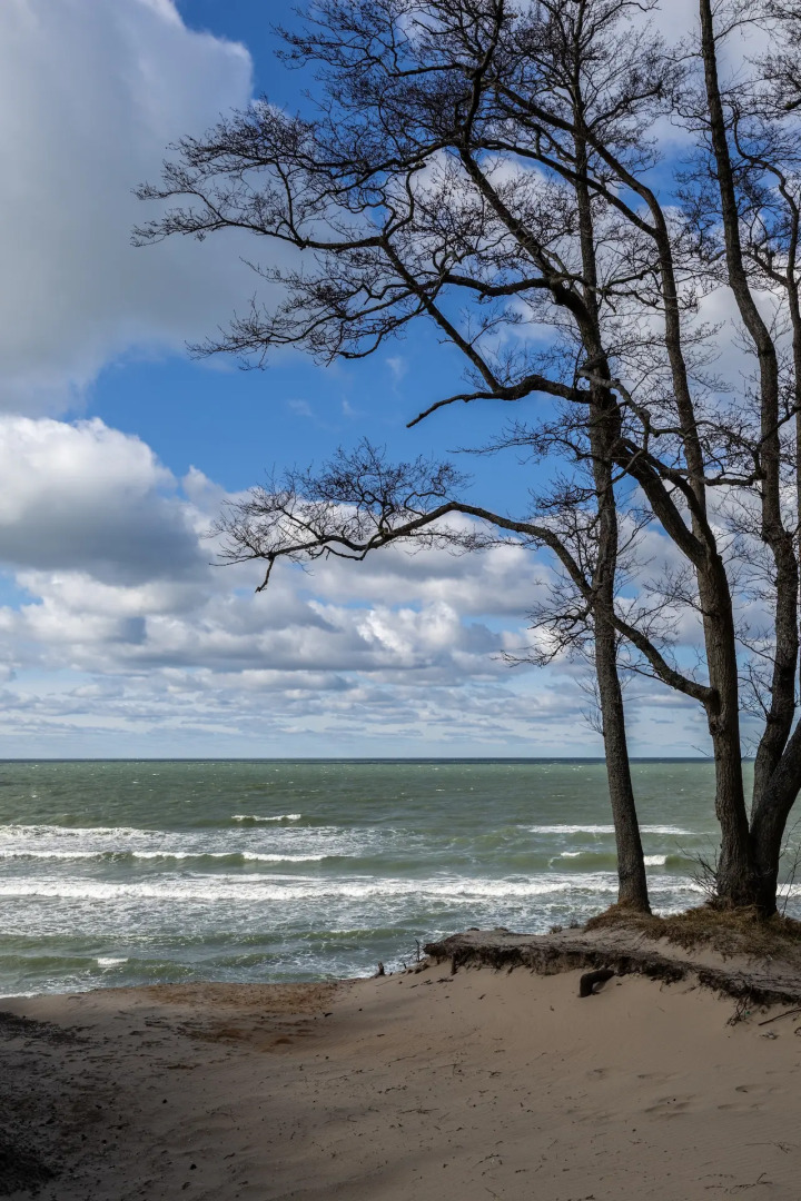 Апартаменты LovelyHome39 Студия 1 в Пионерском