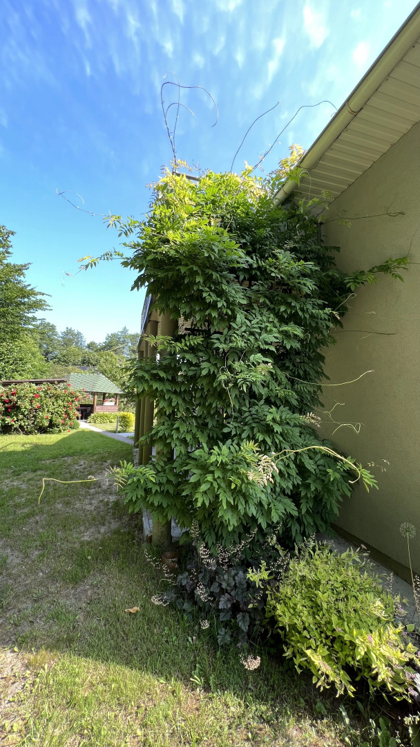 Гостевой дом Warnicken