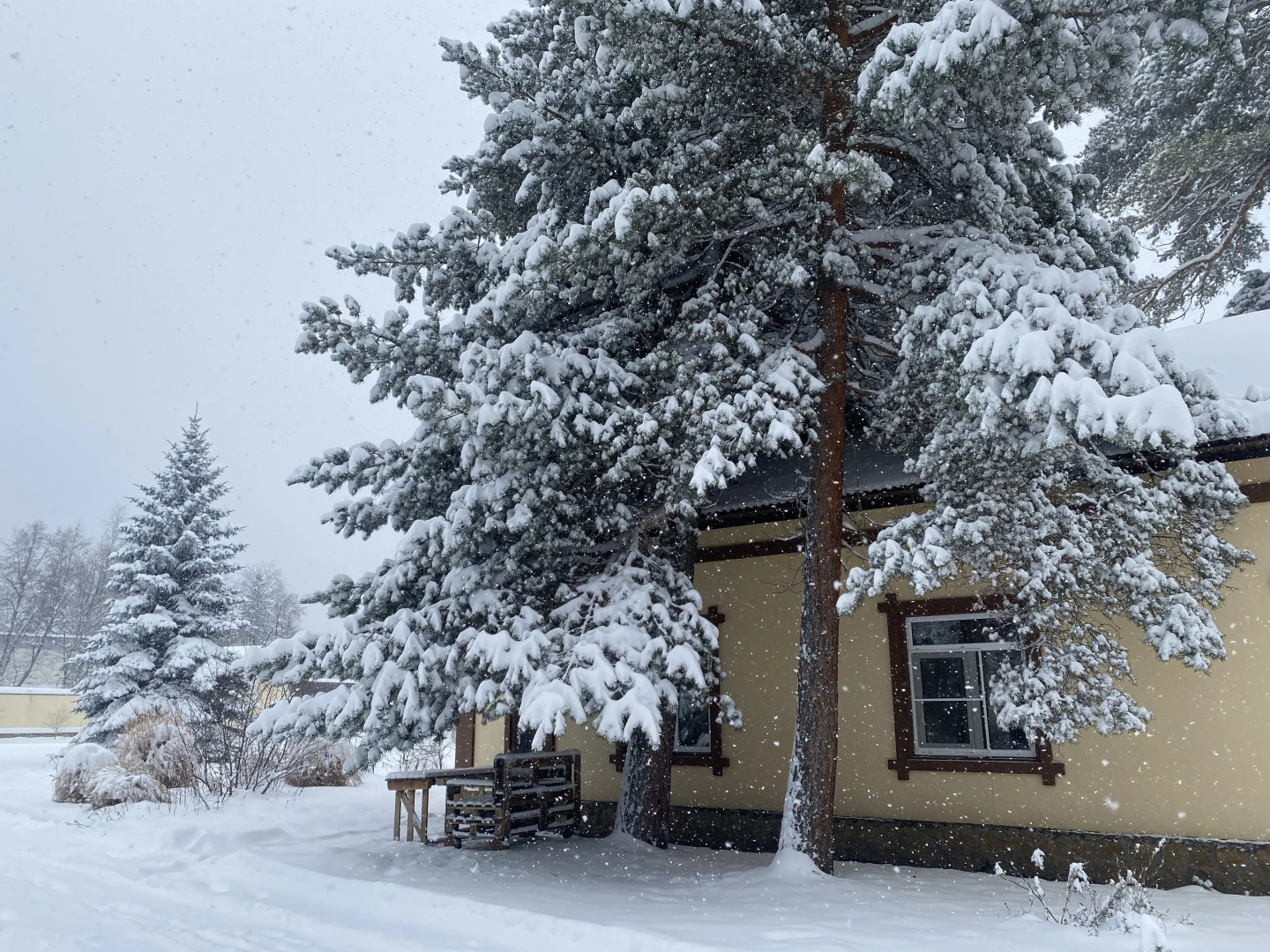 Гостевой Дом Чегет