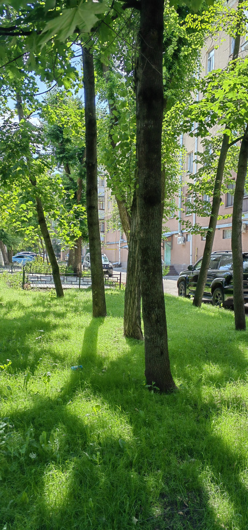 Квартира Предвосхищая ожидания