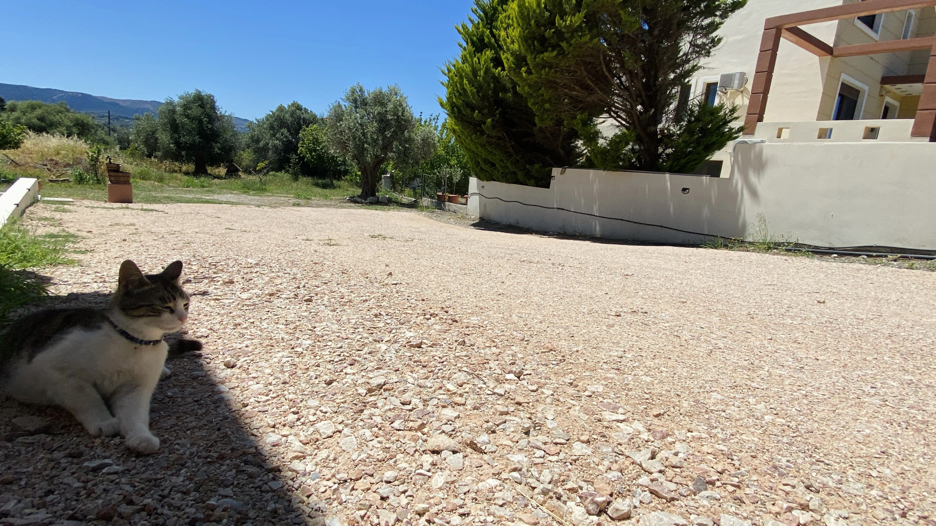 Апартаменты Aetheria Roof Resort