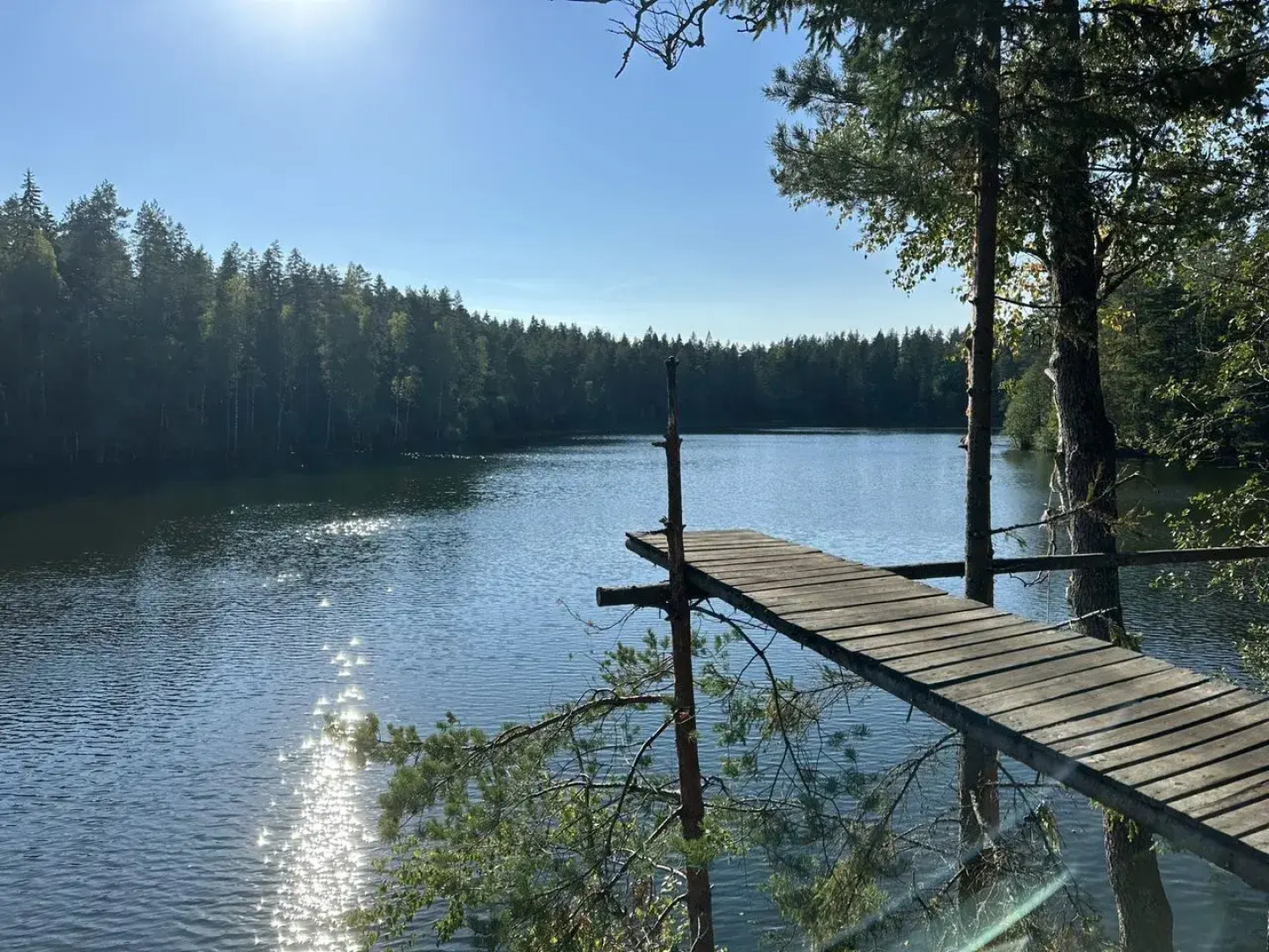 Частный дом Шепот леса