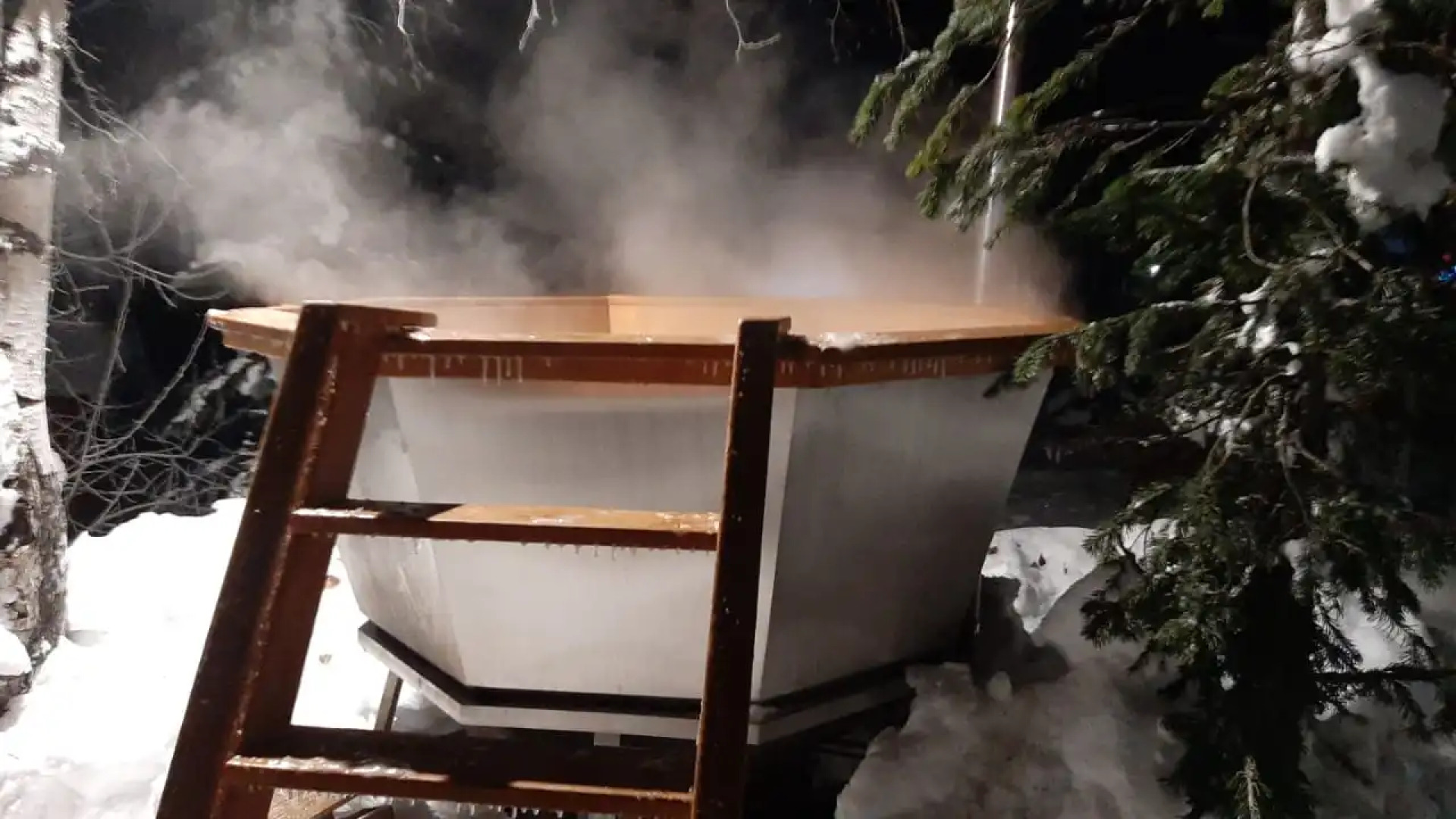 Частный дом Ирбис 3