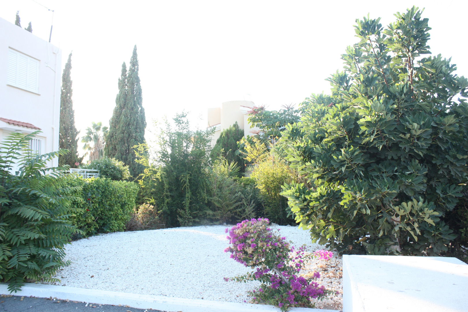 Апартаменты Green Oasis Beach