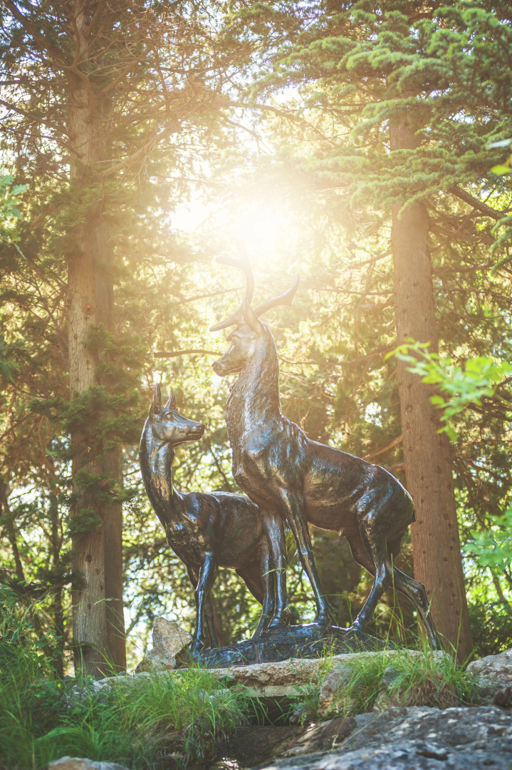 Foros Wellness & Park Sanatorium