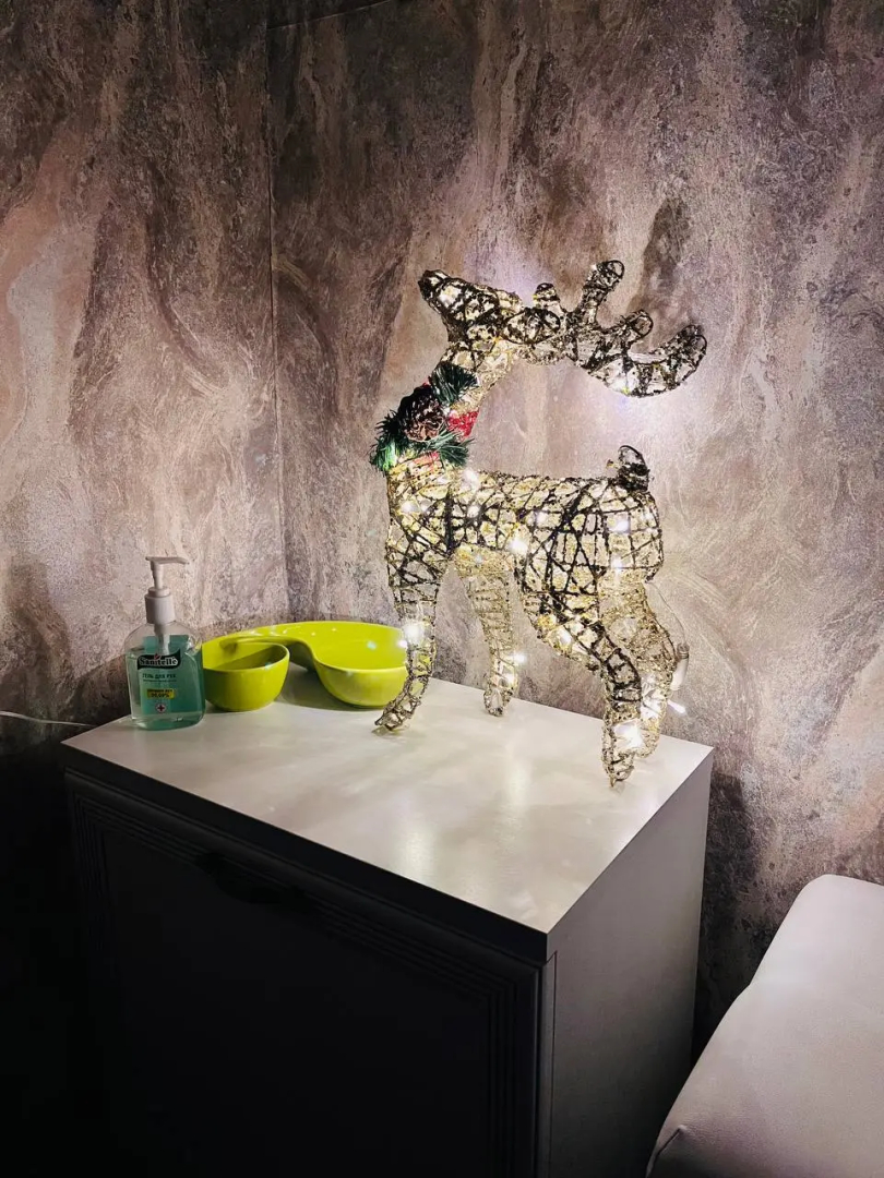 Гостевой дом Ilta Karjalan Talo Карельский домик