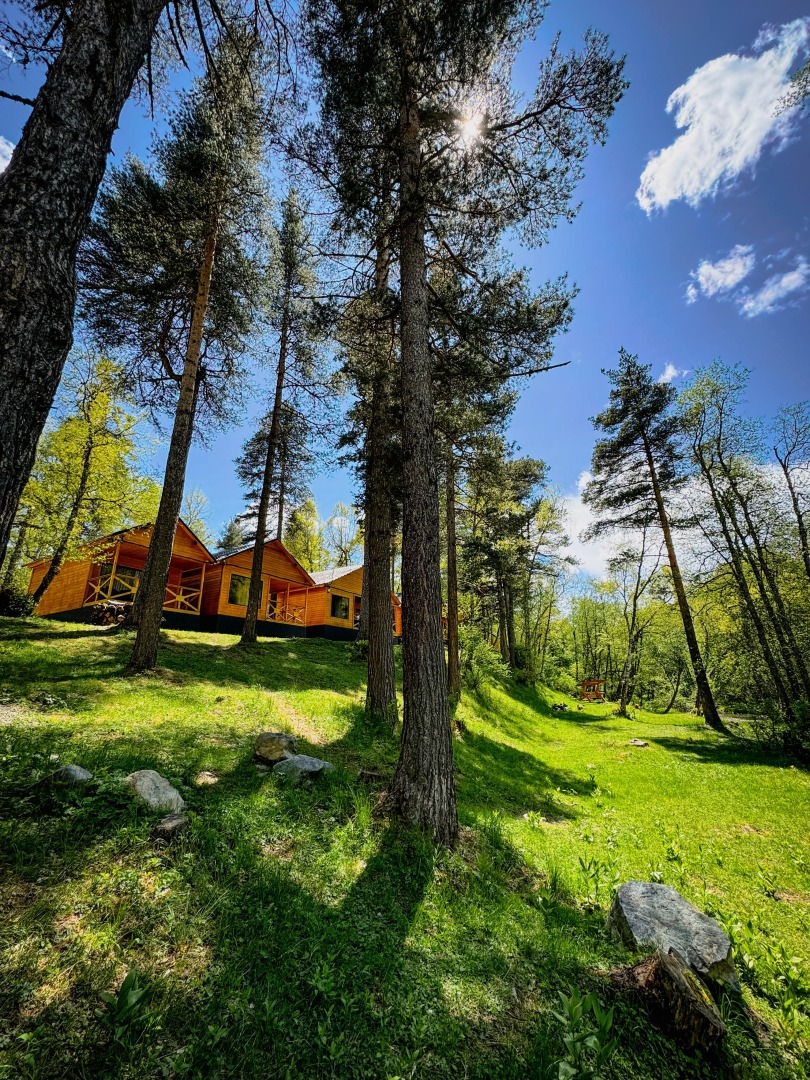 Шале Хвоя трехкомнатный люкс