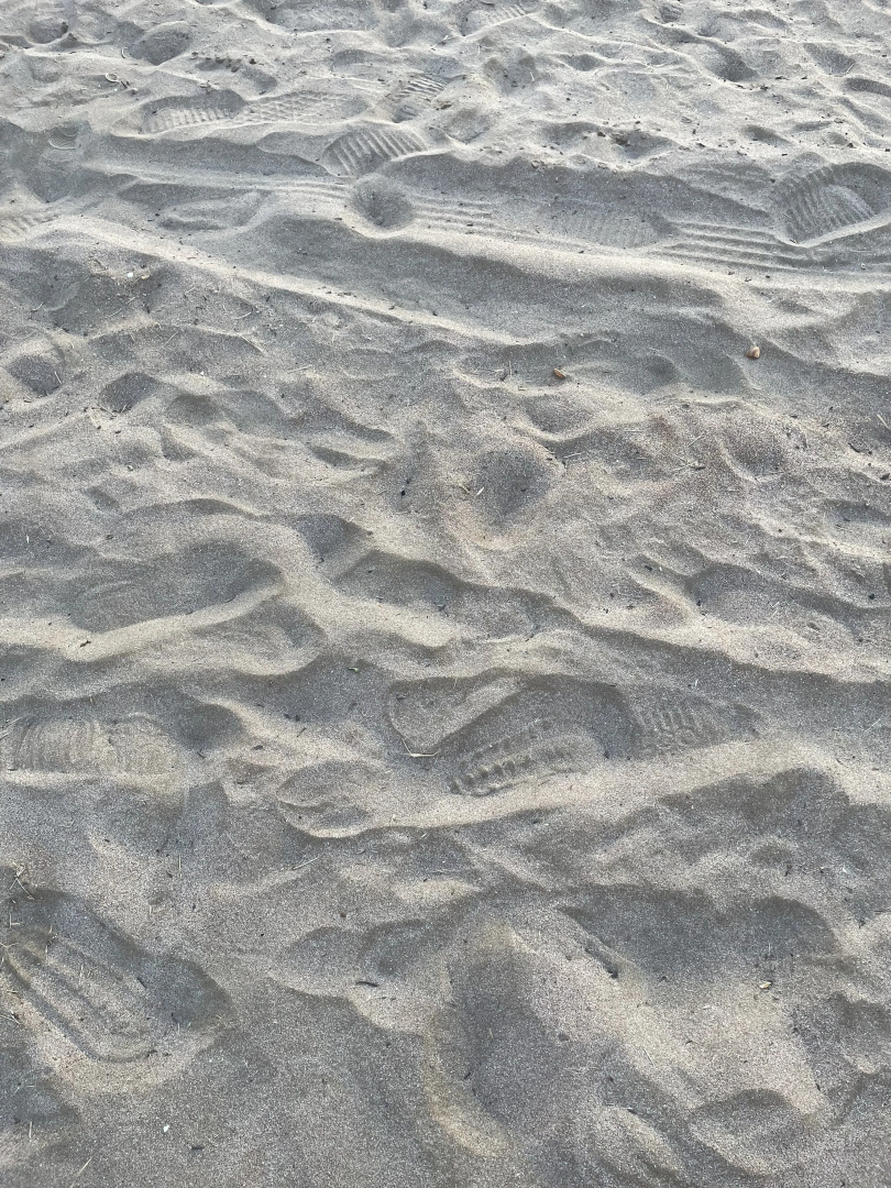 Частный дом Дача На Берегу Моря