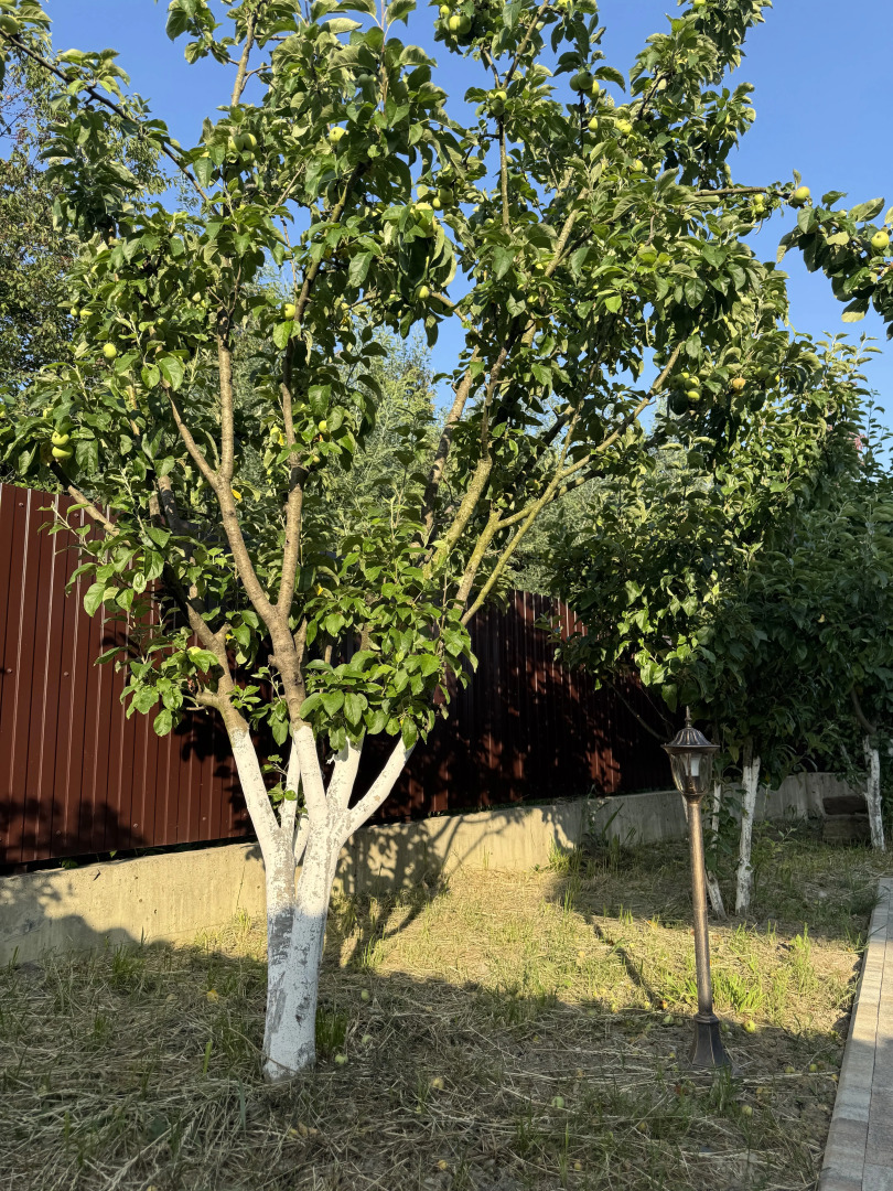 Частный дом Розмарин