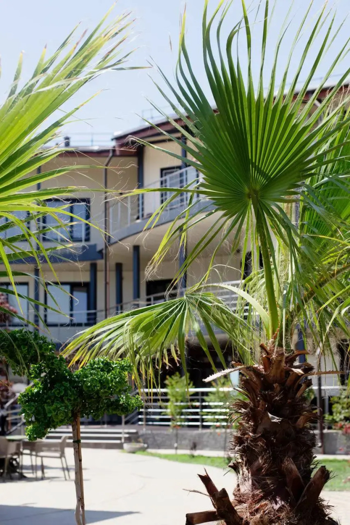 Отель Ассоль