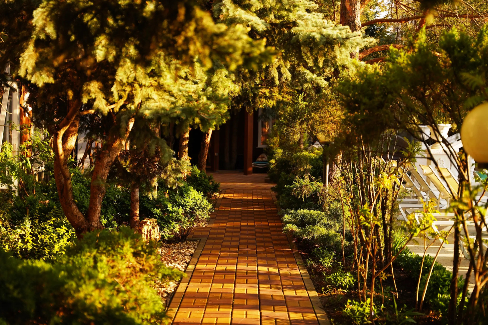 Отель Александр