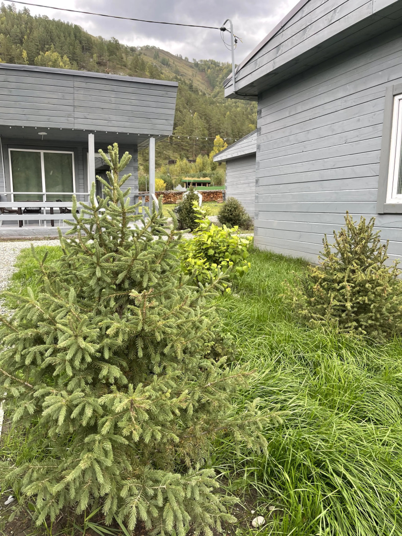 База Отдыха Алтай Лотос