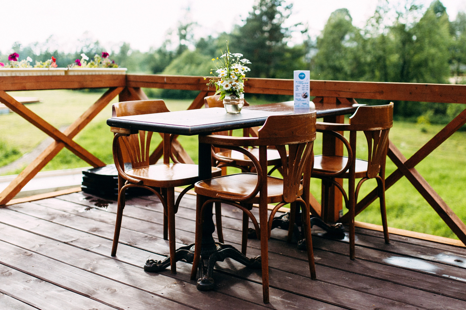 Отель Ефимов Бор