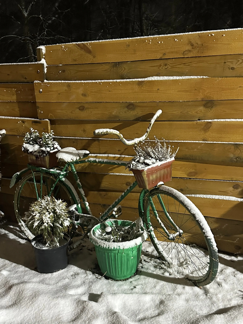 База отдыха Тайга-House