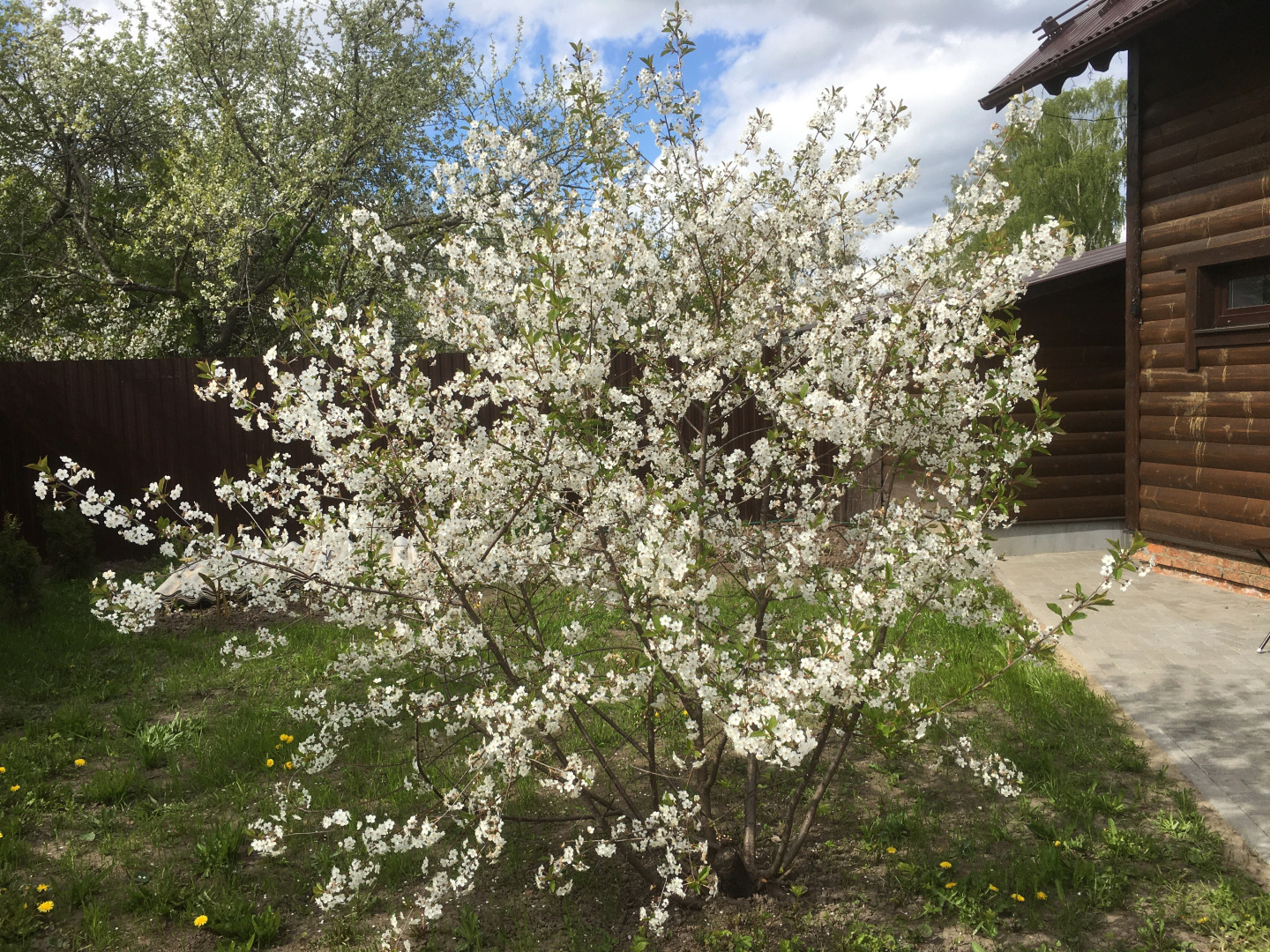 Бунгало Домик с Сауной 2