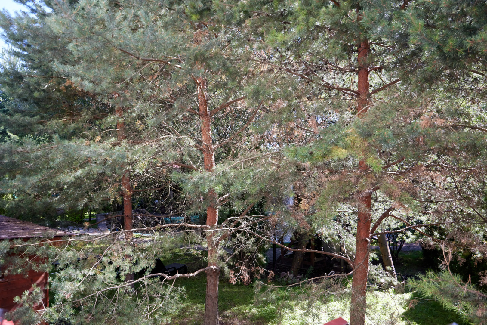 Отель Норд Стар