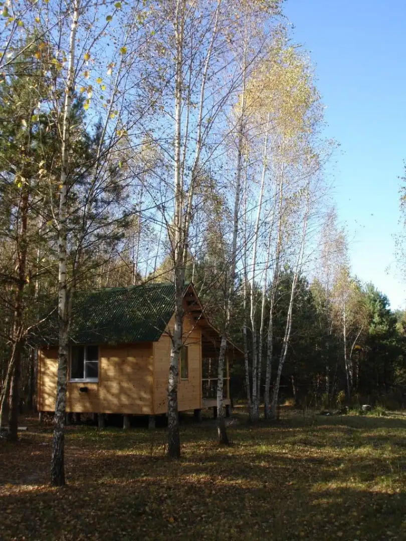 Апартаменты Уютный дом на природе в лесу
