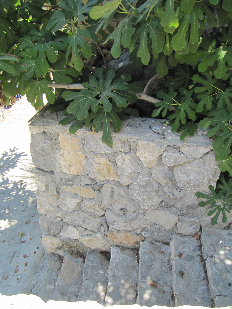 Апартаменты Sea View Penthouse