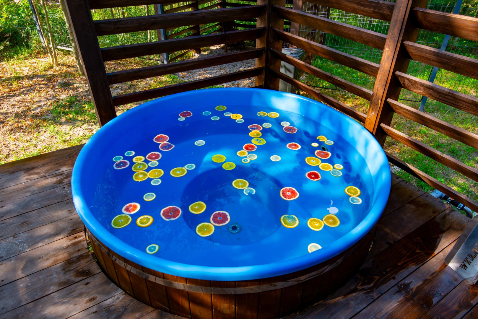 Шале На краю света Дом Купол