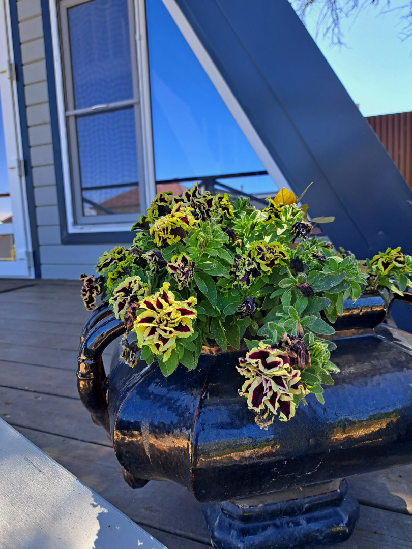 Частный Домик у Реки